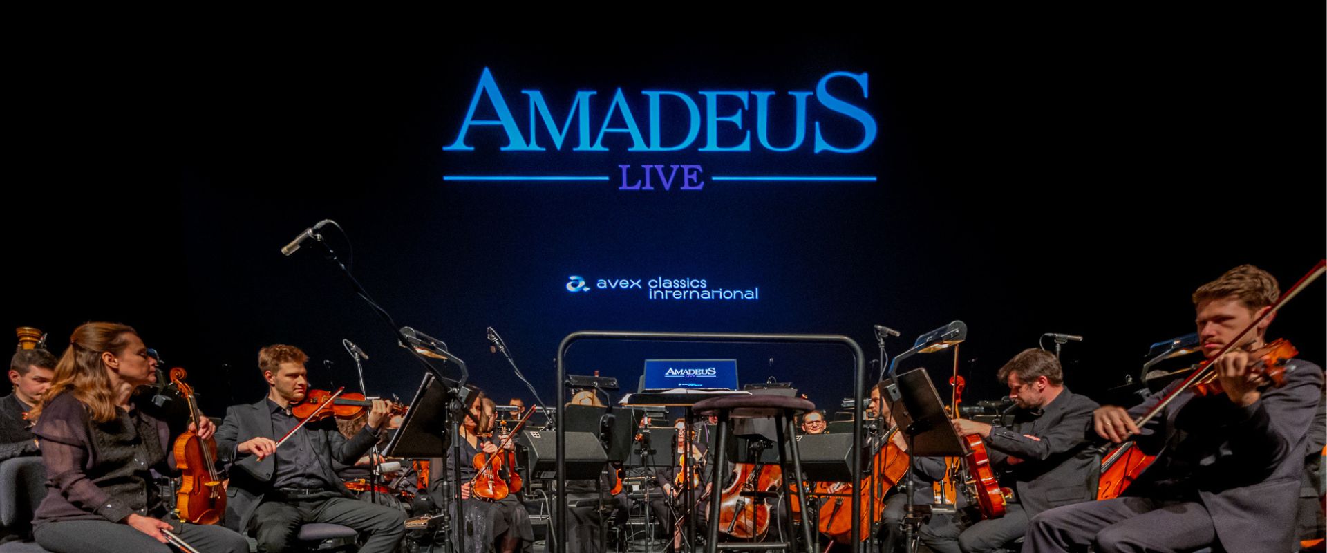 „Amadeus Live” podczas 24. edycji MFF mBank Nowe Horyzonty we Wrocławiu