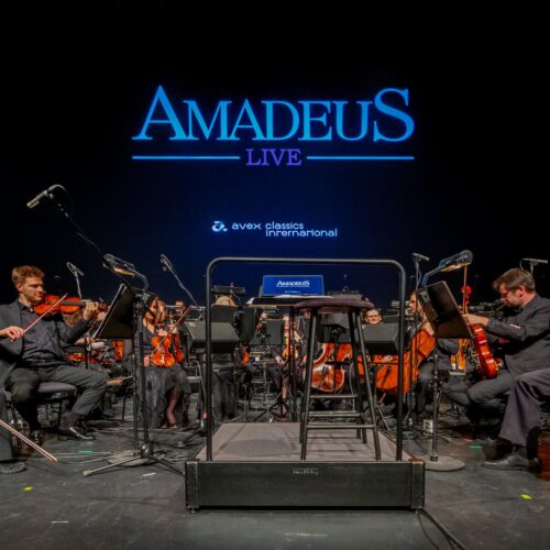 „Amadeus Live” podczas 24. edycji MFF mBank Nowe Horyzonty we Wrocławiu